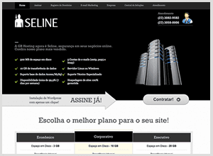 Seline Hosting